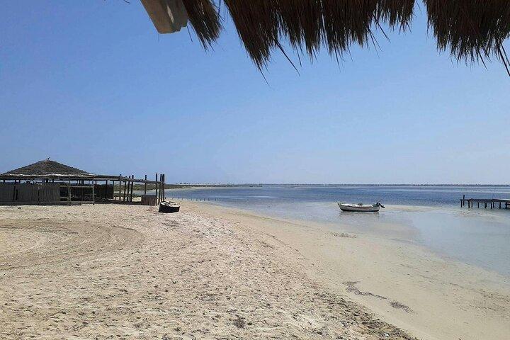 Piratkrydstogt til Flamingo Island-Djerba