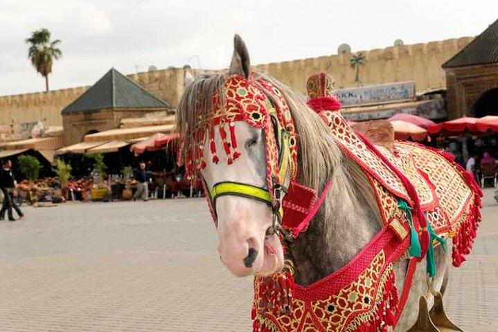 Meknes: Guided walking tour