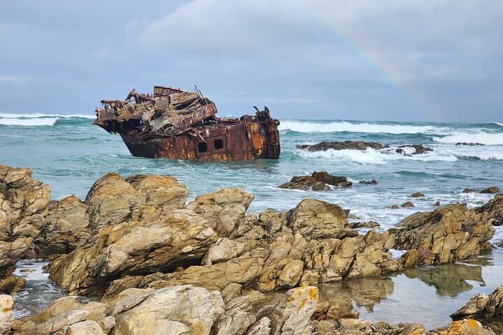 Cape Agulhas, Hermanus Whale Watching, Penguins and Wine Tasting