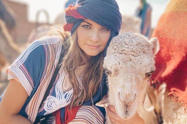 Private Tangier Quad Bike Camel Ride Dinner Show