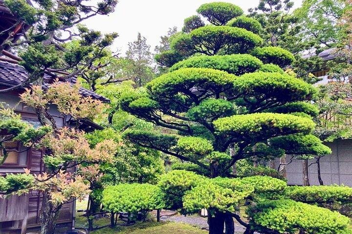 Privat gåtur: Besøg Kanazawa Garden