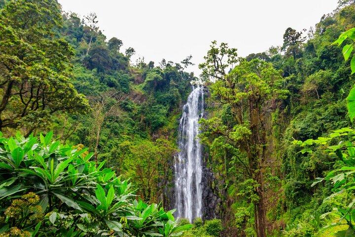 Tour privado a las aguas termales de Materuni y Chemka
