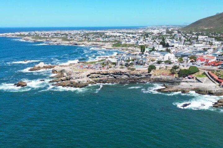 Da Port Elizabeth per Città del Capo 4 giorni Garden Route Safari