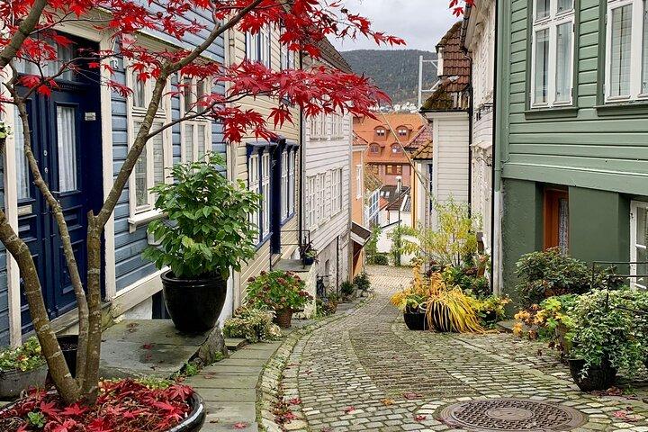 Private Tour durch Bergen mit dem Auto