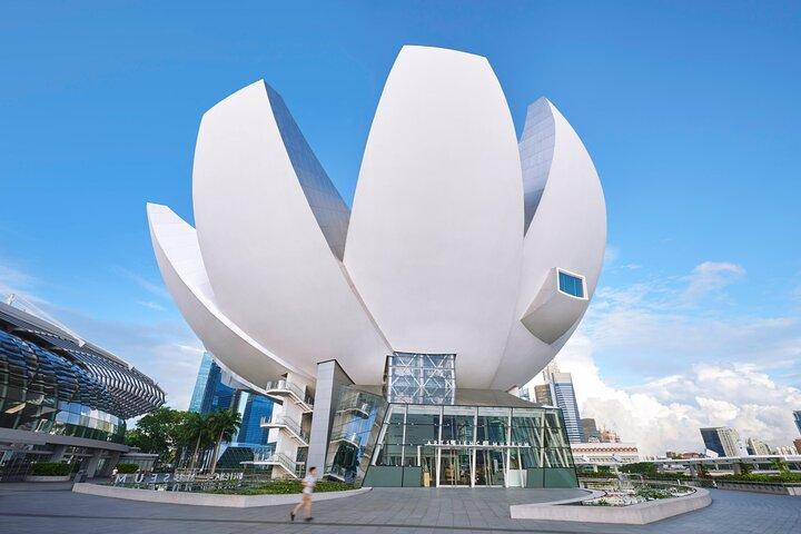 E-Ticket für den Eintritt zum Singapore ArtScience Museum