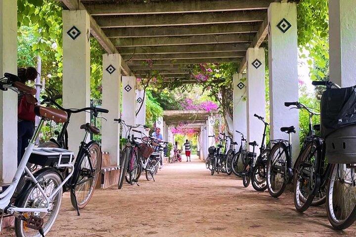 Ontdek Sevilla per e-bike – een lokale ervaring in een kleine groep