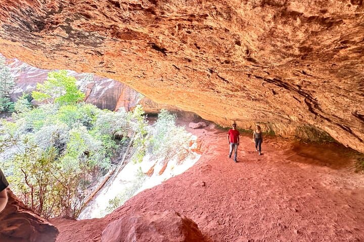 Private Guided Photography & Walking Tour of Zion National Park