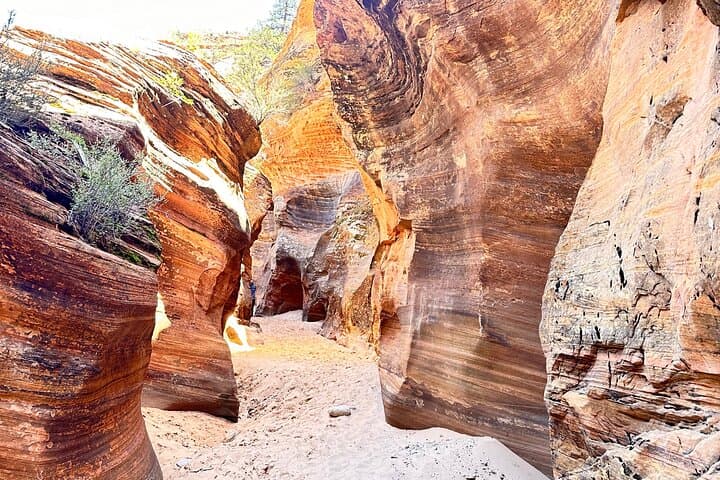 Private Guided Photography & Walking Tour of Zion National Park