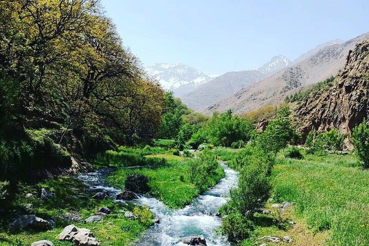 Atlas Mountains Ourika Valley vandfald Dagstur fra Marrakech