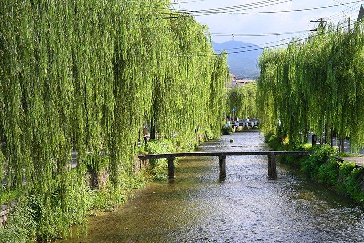 歴史と文化の専門家による本格的な京都ガイドツアー