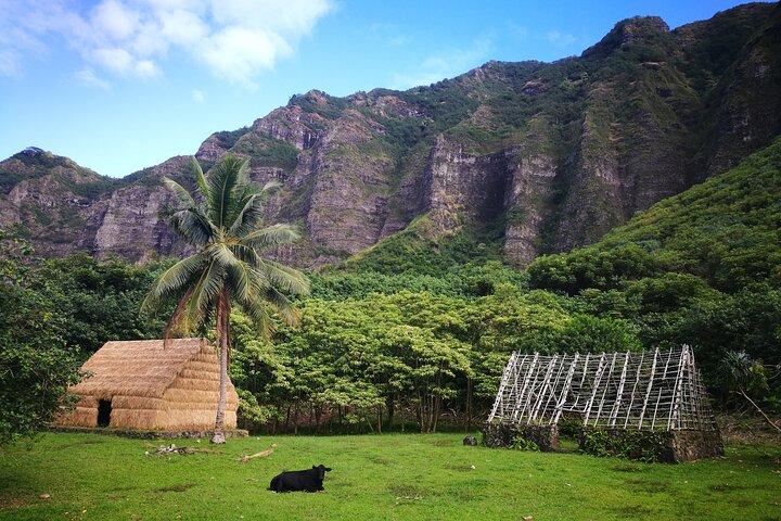 Privat envejsoverførsel Waikiki Hotel og Kualoa Ranch