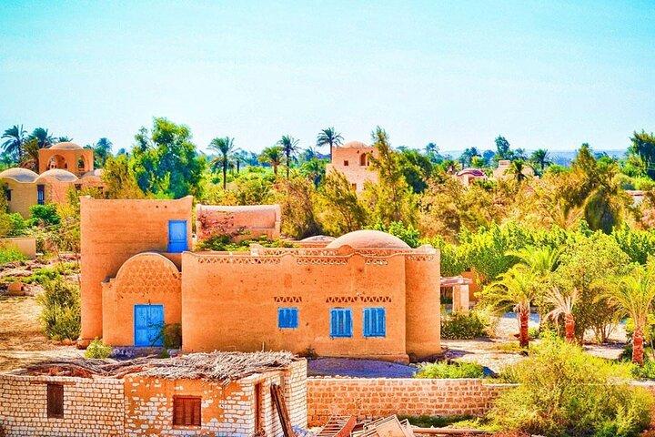 Privé Fayoum Oasis Tour vanuit Caïro en Gizeh