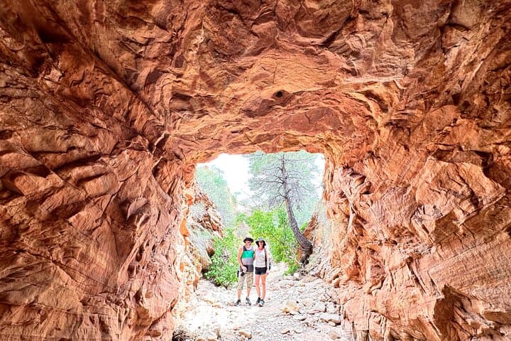 Private Guided Photography & Walking Tour of Zion National Park