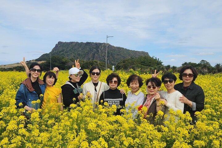 Visite privée flexible de l'île de Jeju