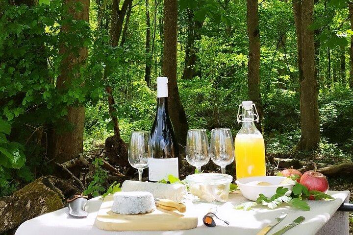 The Royal Escape : E-Bike & Gourmet Picnic à Chenonceau.