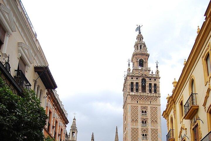 Día completo en Sevilla/ E-Bike, Monumentos y Flamenco Show