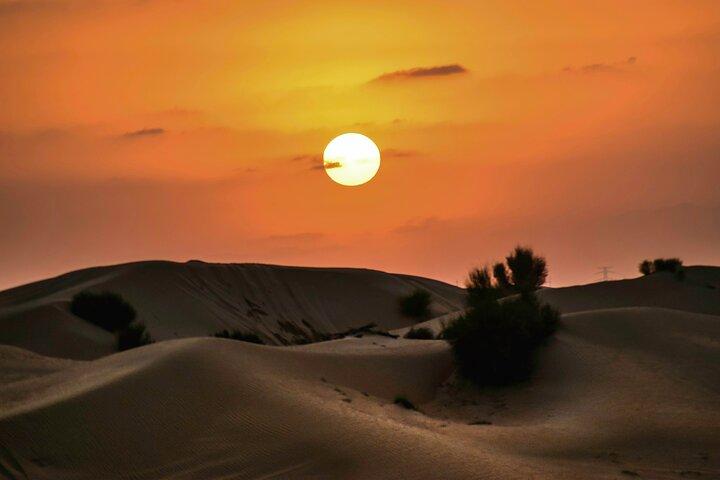 Dubai Desert Safari Tour