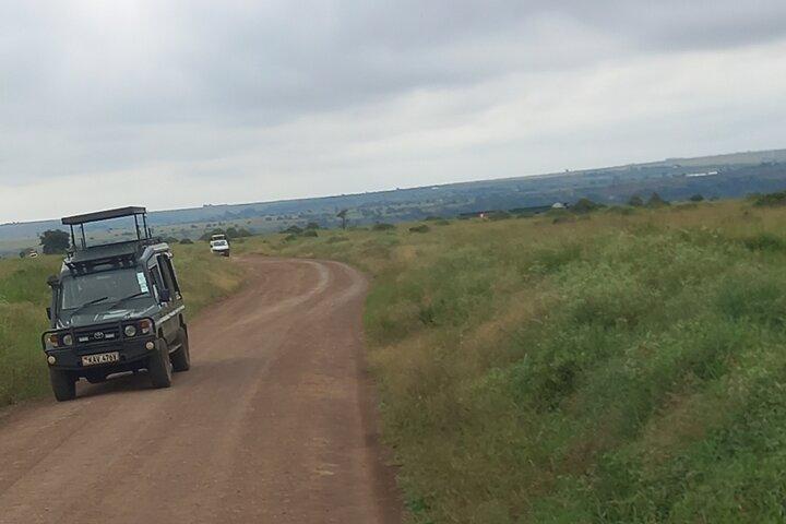 Halve dag Nairobi National Park
