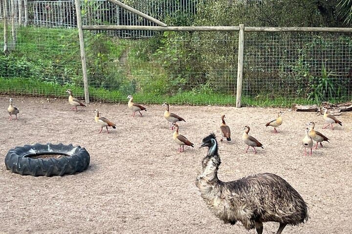 Bo Kaap Seal Island World of Birds and Constantia Wine Tasting