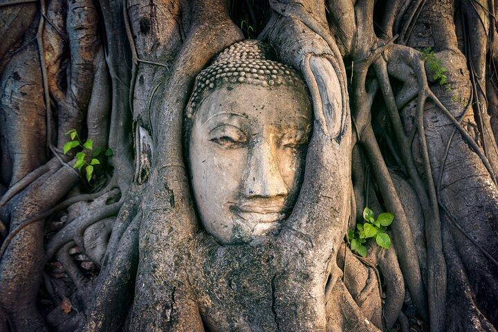 Tour privado de los templos de Ayutthaya: viaje de un día