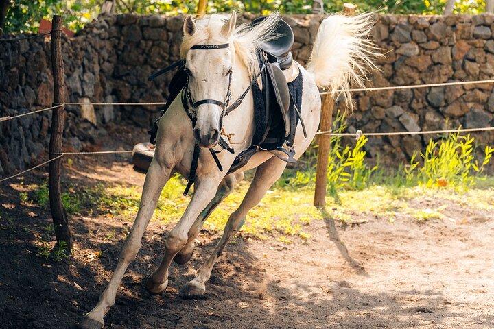 Horseback riding and wine tasting experience at Mount Vesuvius