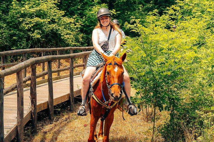 Horseback riding and wine tasting experience at Mount Vesuvius
