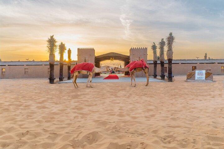 PVT Desert Safari Tour mit Abendessen & Dubai City Tour