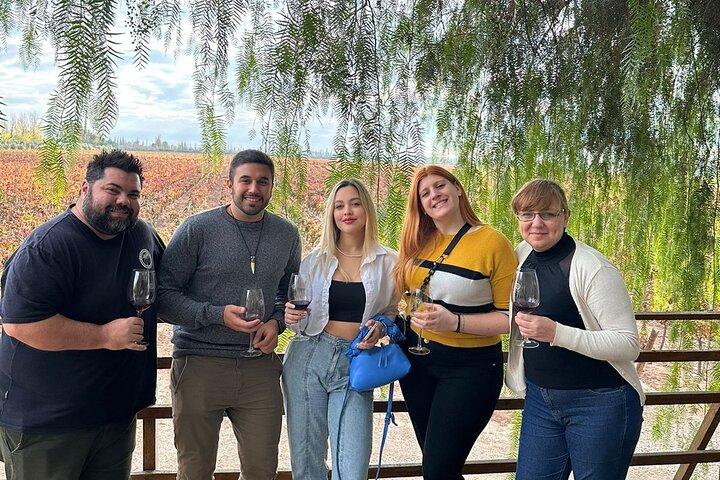 Tour de Viñedos en Mendoza : Experiencia de Cata de Vinos & Aceites de Oliva