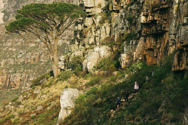 Table Mountain Guided Hike – Safe, Scenic & Tailored to You