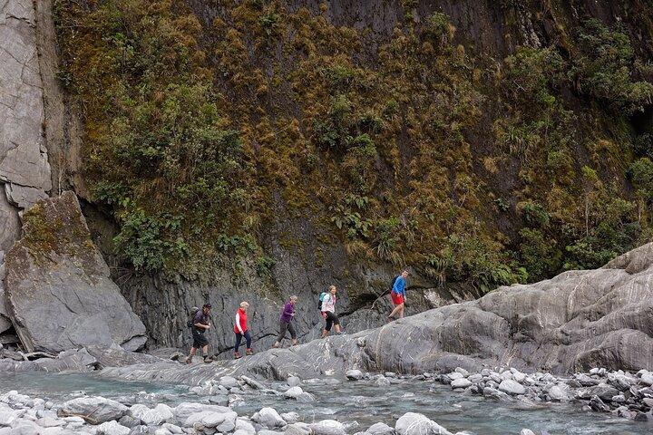 Franz Josef Nature Tour