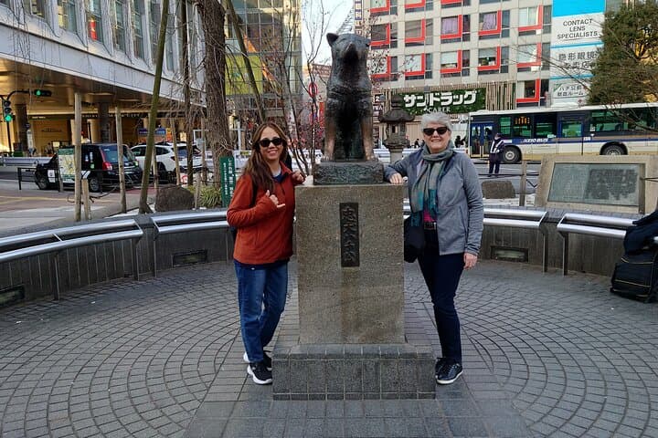 Tokyo Private Tour with Licensed Guide from Disney Area