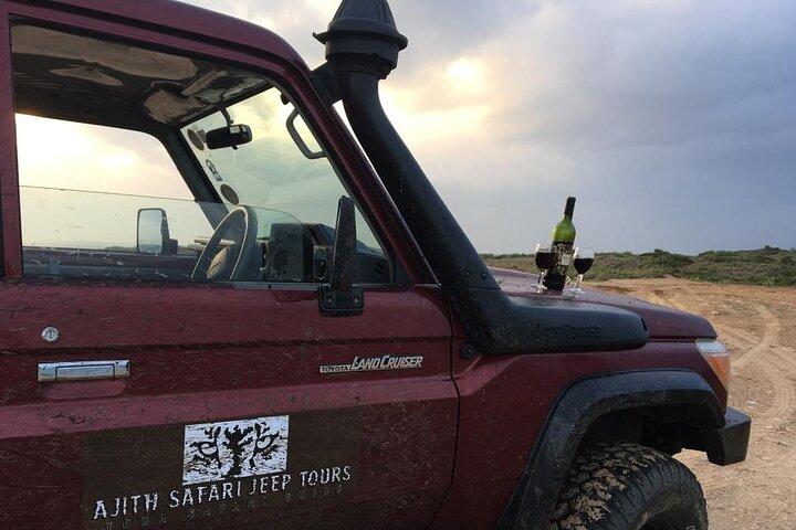 Ella to Tangalle/Hiriketiya/Mirissa/Galle Shuttle & Yala Safari