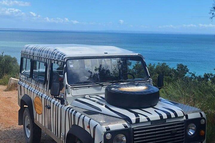 Tour en jeep por la naturaleza en Arrábida