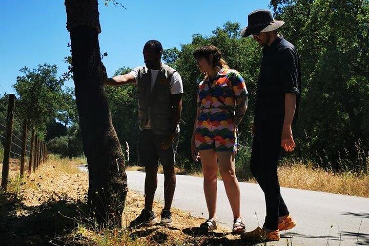 Tour en jeep por la naturaleza en Arrábida