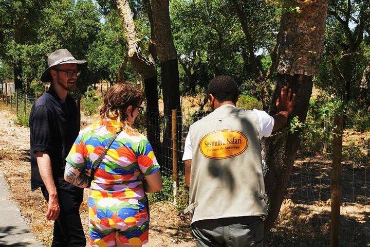 Tour en jeep por la naturaleza en Arrábida