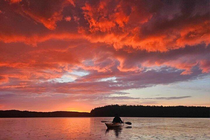 Kajaktour bei Sonnenuntergang mit Fika am Stockholmer Seeufer