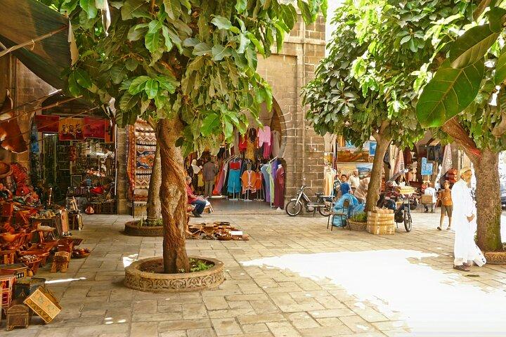 Casablanca City Tour Mosque and Corniche Highlights