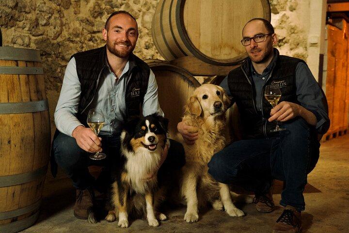 Visite et Dégustation de Champagne avec un guide sympathique en Vallée de la Marne