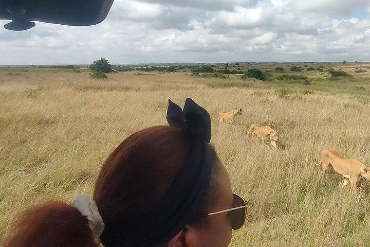 Nairobi National Park and Giraffe Center Daily Tours.