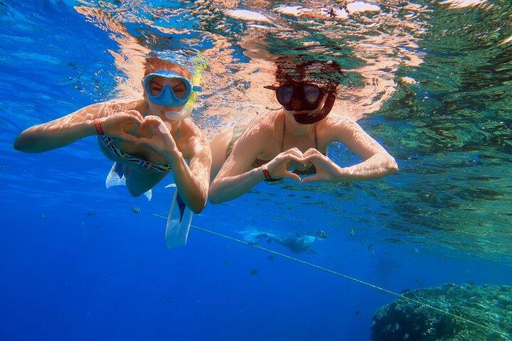 VIP: excursión de snorkel a la Isla Blanca y Ras Mohamed