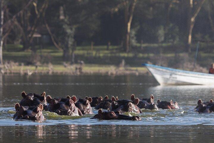 Kenya Natur og vilde dyr Multi Day Tour