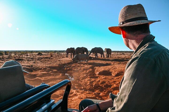 3 - Day Big Five Madikwe Safari（ヨハネスブルグ発）