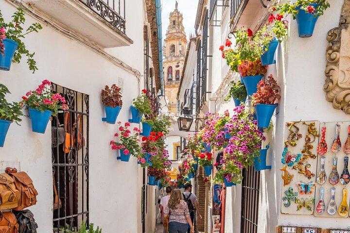 Privétour door Cordoba: Moskee-Kathedraal, Joodse wijk en binnenplaatsen