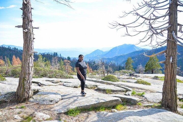 Privé 2 - Excursion d'une journée dans les parcs Sequoia et Kings Canyon au départ de LA