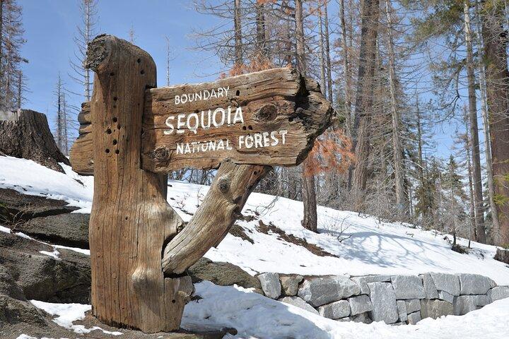 Privé 2 - Excursion d'une journée dans les parcs Sequoia et Kings Canyon au départ de LA