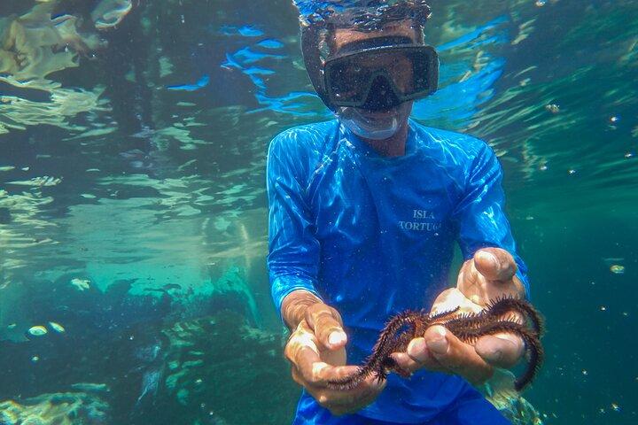 Visita a Isla Tortuga con Costa Cat