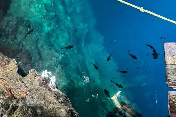 メキシコ、ユカタン州ティシミンのセノーテ、ピンクウォーター、チチェン・イッツァ