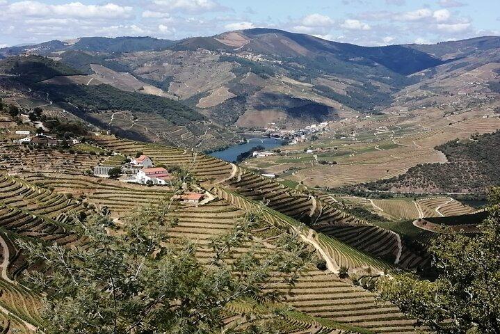 Privé e-bike in de Douro-vallei voor een tour van een halve dag.