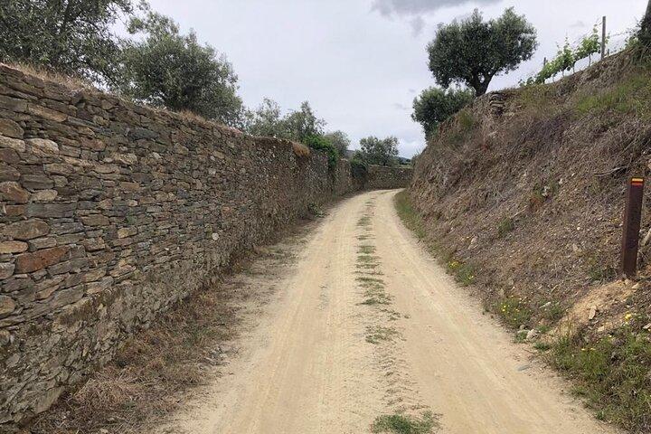 Privé e-bike in de Douro-vallei voor een tour van een halve dag.