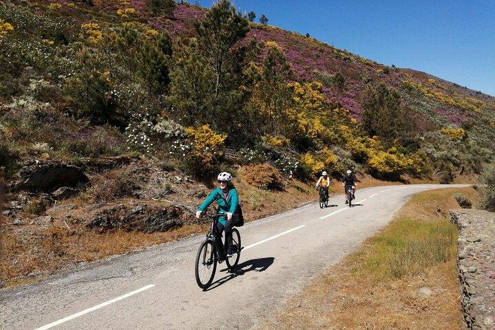 Privé e-bike in de Douro-vallei voor een tour van een halve dag.